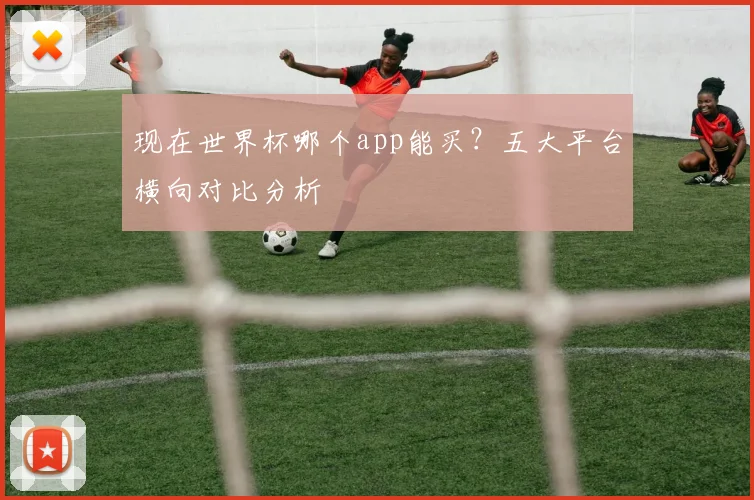 现在世界杯哪个app能买？五大平台横向对比分析