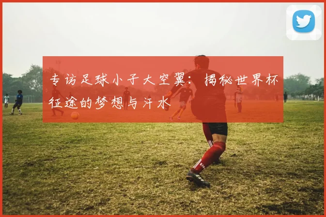 专访足球小子大空翼：揭秘世界杯征途的梦想与汗水